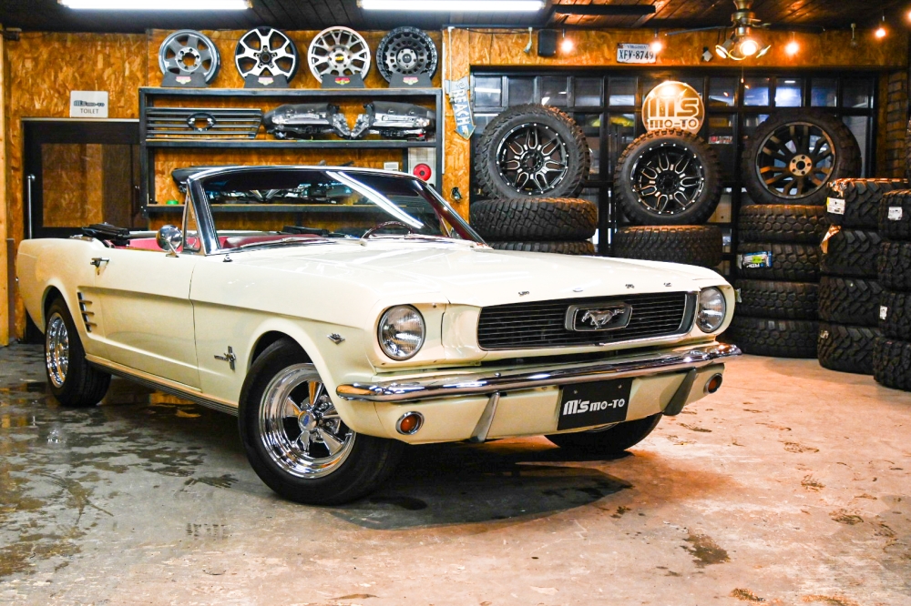 m's mo-toおすすめ車両